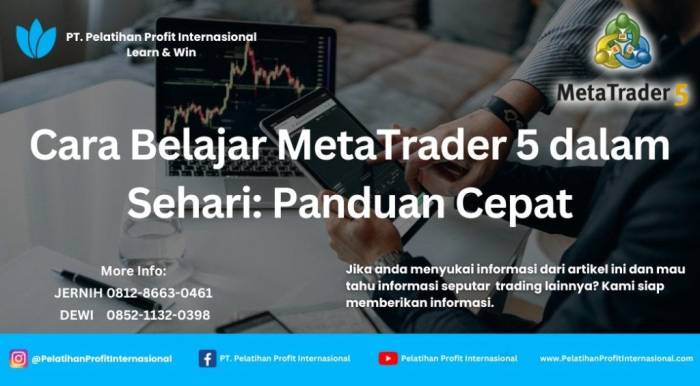Metatrader 5 Pc