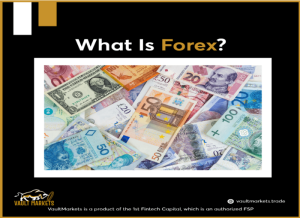 Qu'est Ce Que Le Forex