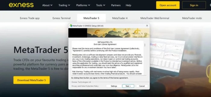 Metatrader Exness Download