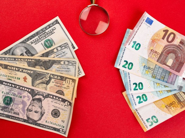 929 Forex Tilak Nagar