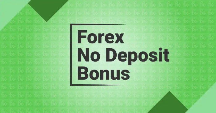 $50 No Deposit Bonus Forex