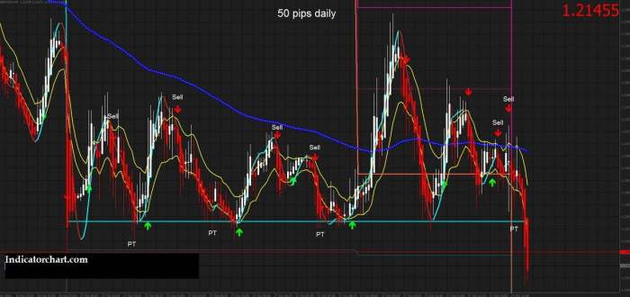 50 Pips A Day Forex Strategy Pdf