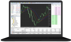 Exness Metatrader 5