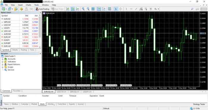 Metatrader Software