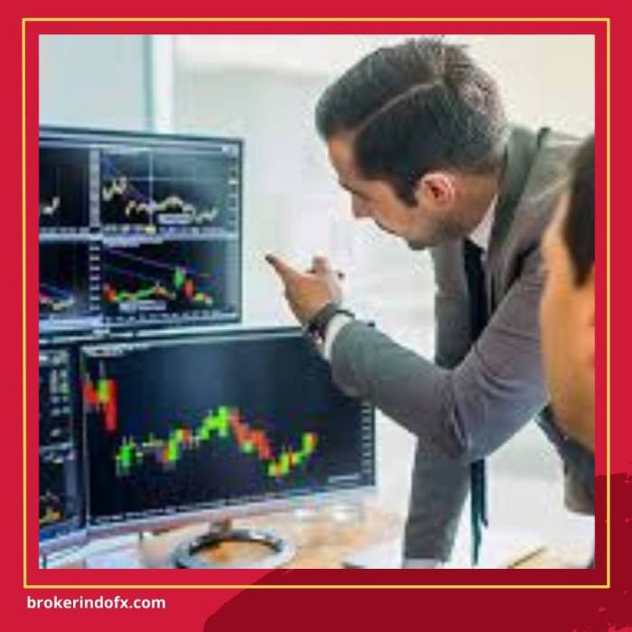 Vision Trade Forex