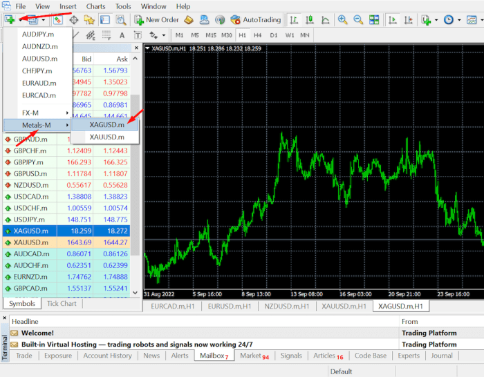 Metatrader Forex