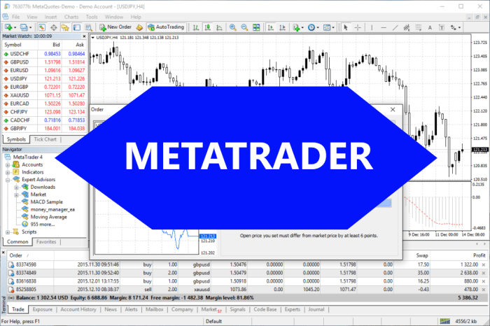 Metatrader Windows
